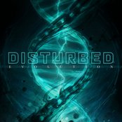 Disturbed - Evolution lyrics